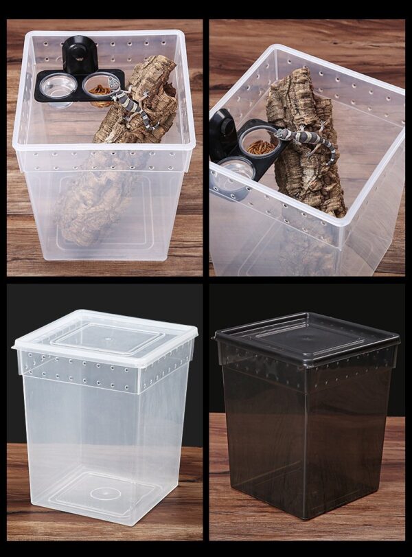 Plastic Reptile Feeding Breeding Box - JHPC005 - Image 6