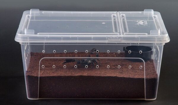 Plastic Reptile Feeding Breeding Box - JHPC005 - Image 7