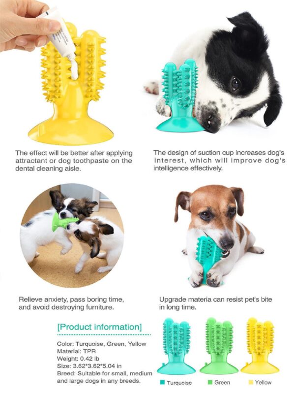 Cactus Dog Toothbrush - JHGWJ026 - Image 2