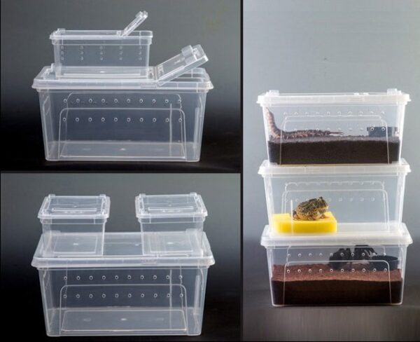 Plastic Reptile Feeding Breeding Box - JHPC005 - Image 9