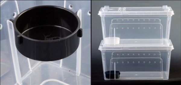 Plastic Reptile Feeding Breeding Box - JHPC005 - Image 10