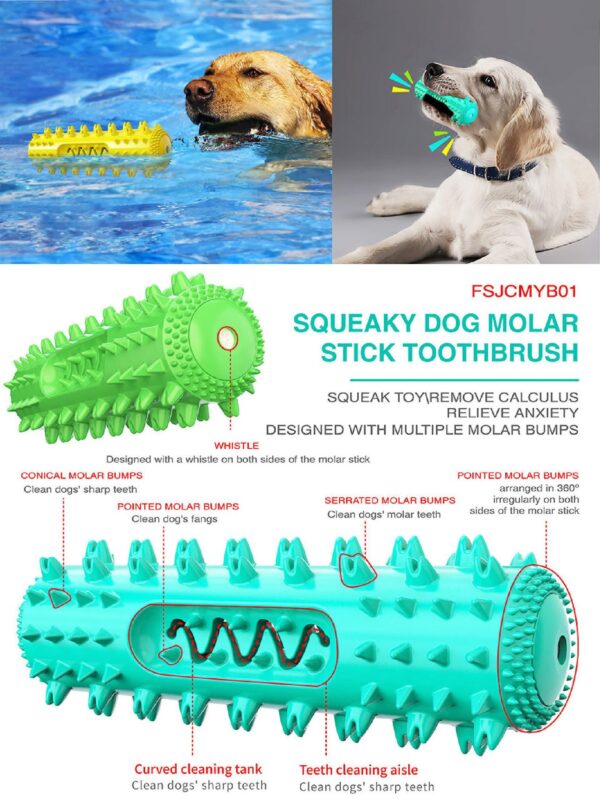 Molar Stick Squeaky Toothbrush Dog Feeder Toys - JHYZ029