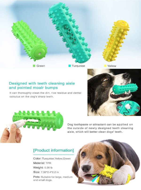 Molar Stick Squeaky Toothbrush Dog Feeder Toys - JHYZ029 - Image 2