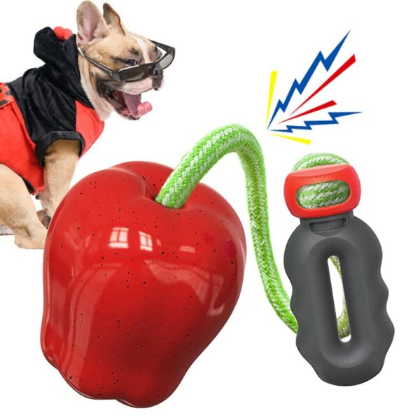 Outdoor Fetch Apply Dog Toy - JHGWJ003