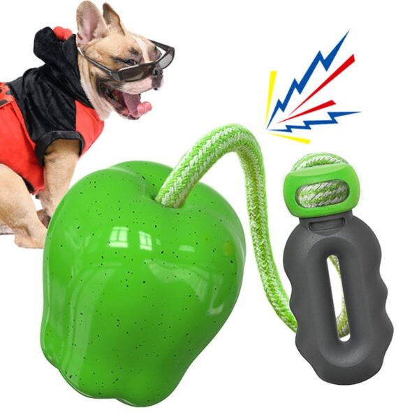 Outdoor Fetch Apply Dog Toy - JHGWJ003 - Image 2