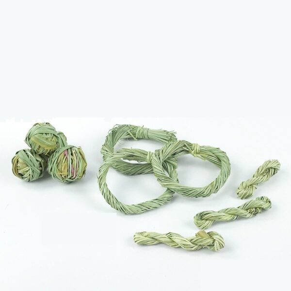 Rabbits Grass Ball Bunny Chew Toys - JHXDW008 - Image 4
