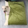 Luxury Velvet Pet Bed - JHGW015 - Image 2