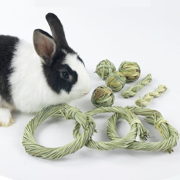 Rabbits Grass Ball Bunny Chew Toys - JHXDW008 - Image 5