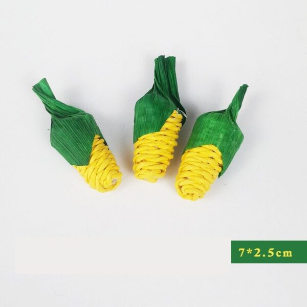 Molar Plant Natural Veggie Chew Toys - JHXDW005 - Image 7
