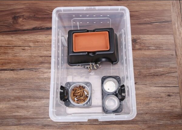 Plastic Reptile Feeding Breeding Box - JHPC005