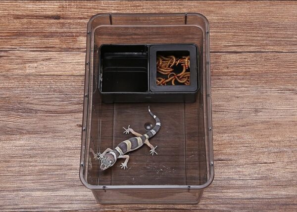 Plastic Reptile Feeding Breeding Box - JHPC005 - Image 2