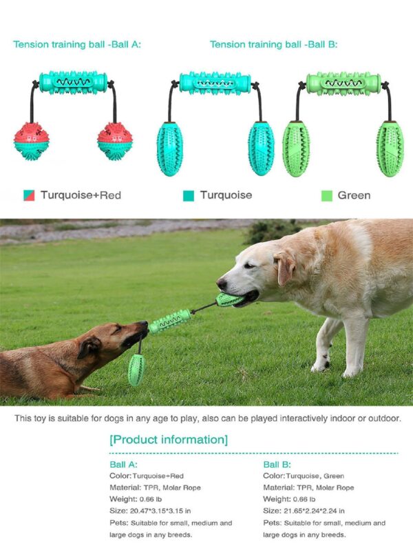Dumbbell Ball Dog Feeder Toys - JHYZ034 - Image 2