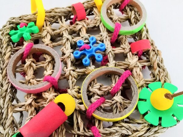 Bird Foraging Seagrass Chewing Toys - JHN002 - Image 4