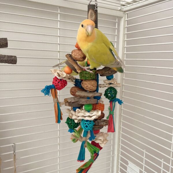 Natural Wooden Blocks Parrot Bird Hanging Chewing Toys - JHN005