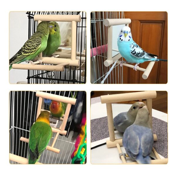 Bird Parrot Mirror Toy Swing Hanging with Perch - JHN017 - Image 5