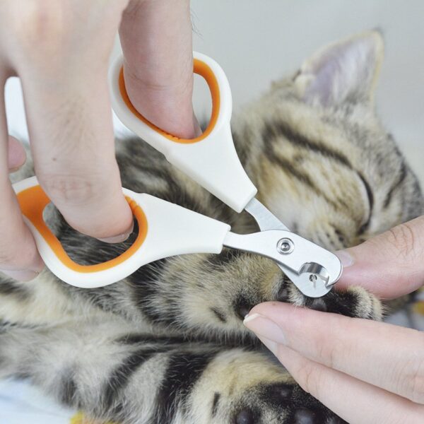 Cat Small Nail Clippers & Claw Trimmer - JHMR002