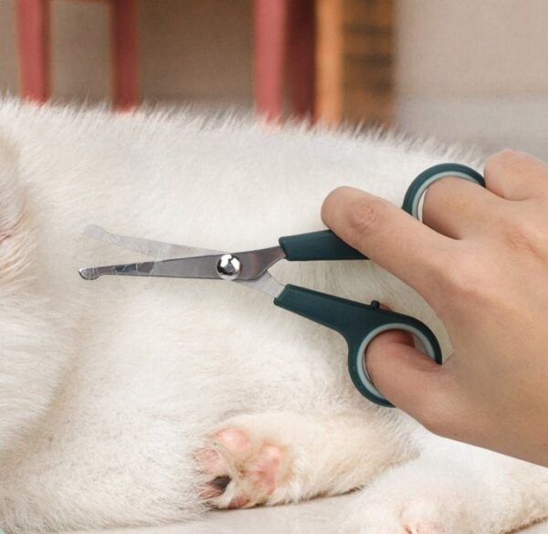 Dog Grooming Kit Nail Clipper Comb Slicker Bath Brush - JHMR013 - Image 4