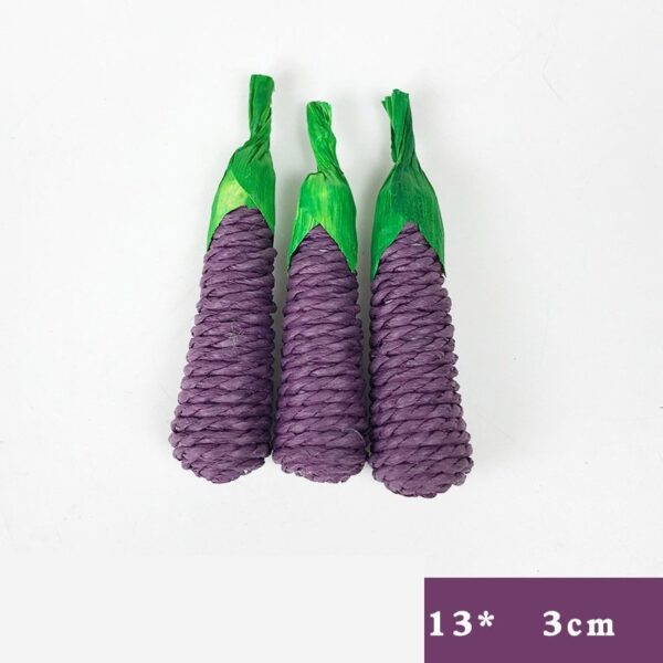 Molar Plant Natural Veggie Chew Toys - JHXDW005 - Image 8