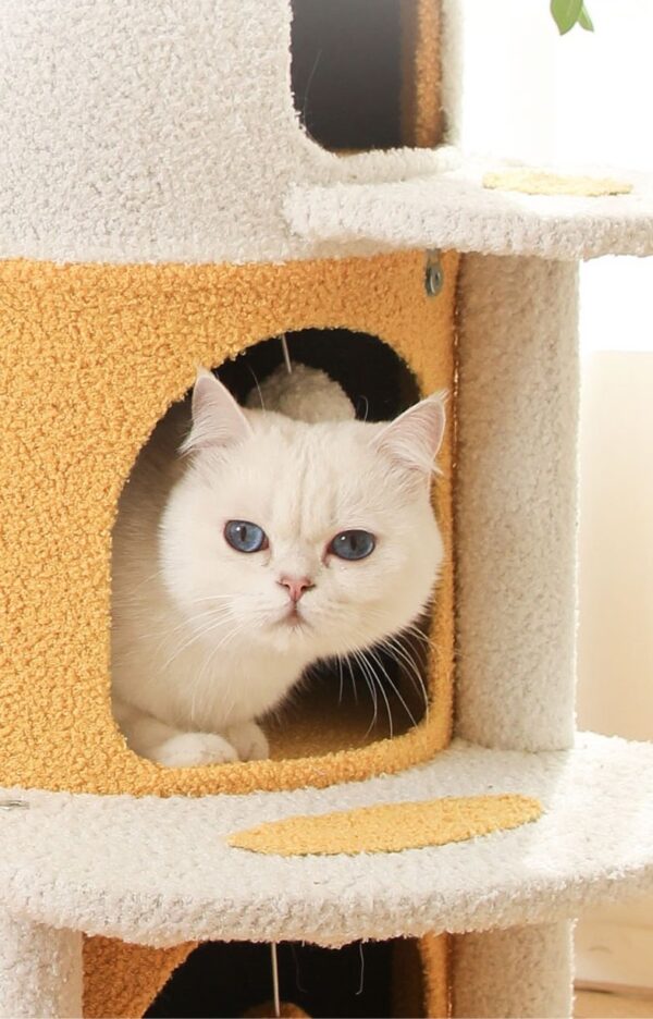 Cat Scratching Barrels - JHMPJMF28 - Image 3