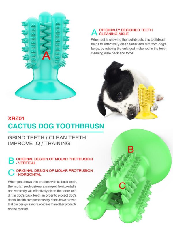 Cactus Squeaky Toothbrush Suction Cup Dog Feeder Toys - JHYZ045