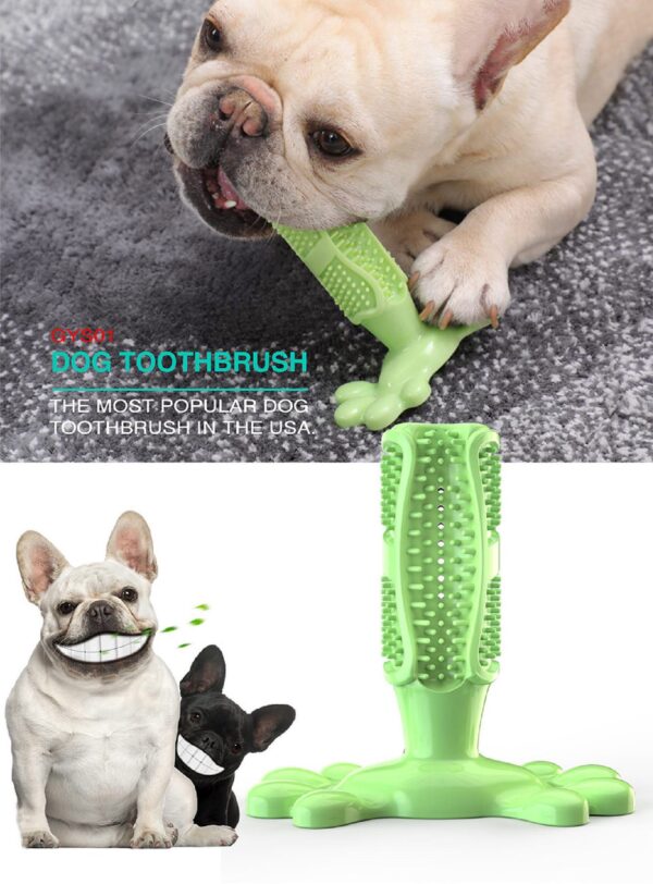 Cactus Squeaky Toothbrush Dog Feeder Toys - JHYZ046