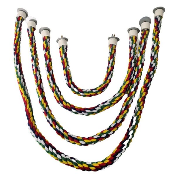 Bird Colorful Spiral Rope Perch - JHN009 - Image 2
