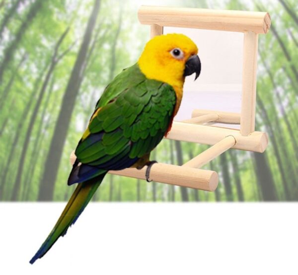 Bird Parrot Mirror Toy Swing Hanging with Perch - JHN017