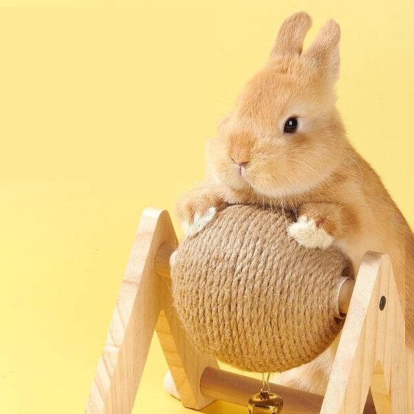 Interactive Wooden Rabbit Scratching Ball Toys - JHXDW002 - Image 3