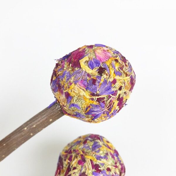 Interactive Natural Chewable Lollipop Toys - JHXDW006 - Image 4