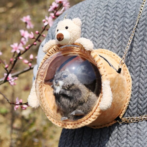 Outdoor Pet Travel Bag Backpack - JHXDW015