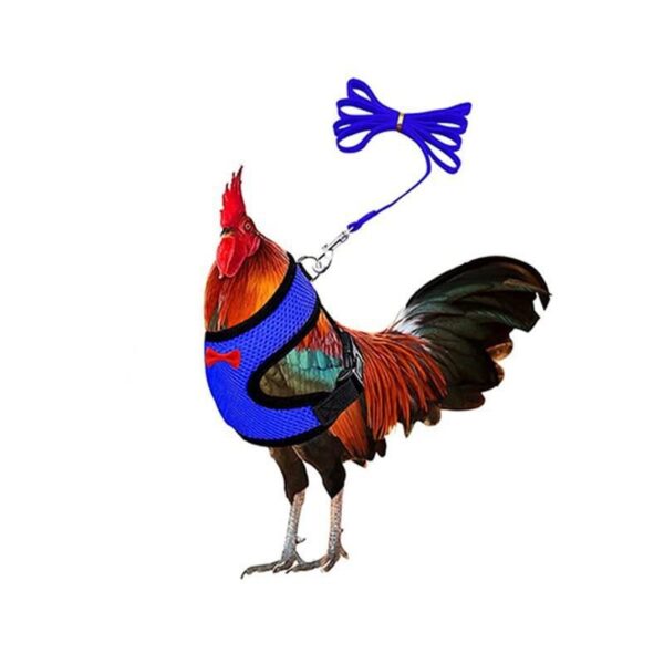 Adjustable Easter Chicken Harness with Matching Belt - JHXDW022 - Image 9