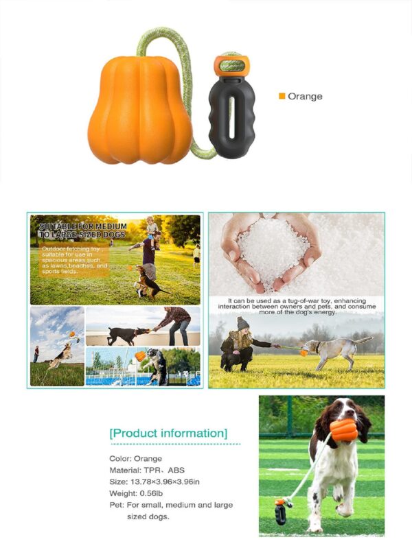 Outdoor Fetch Pumpkin Dog Toy - JHGWJ006 - Image 2