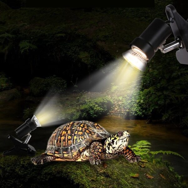 Dual Turtle Reptile Heat Lamp Basking Bulb - JHPC002