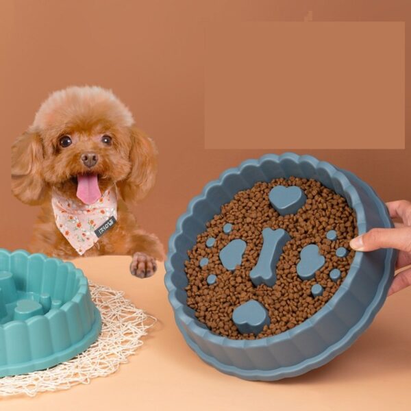 Dog Cat Slow Feeder - JHHS026 - Image 6