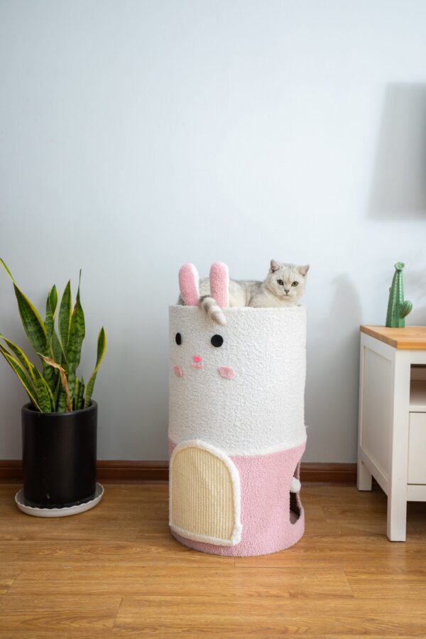 Cat Scratching Barrels - JHMPJMF34 - Image 3