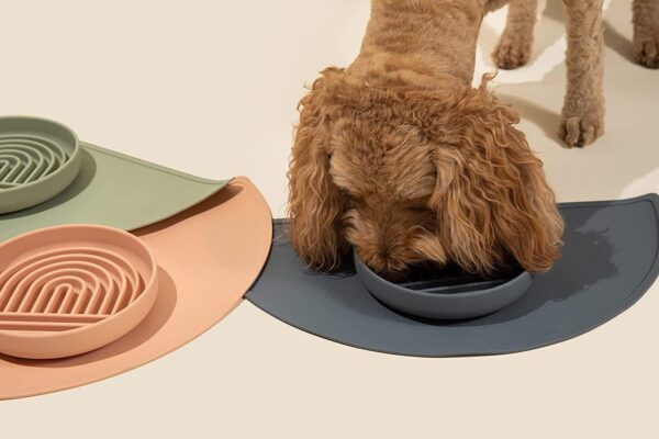 Dog Cat Slow Feeder - JHHS008 - Image 3