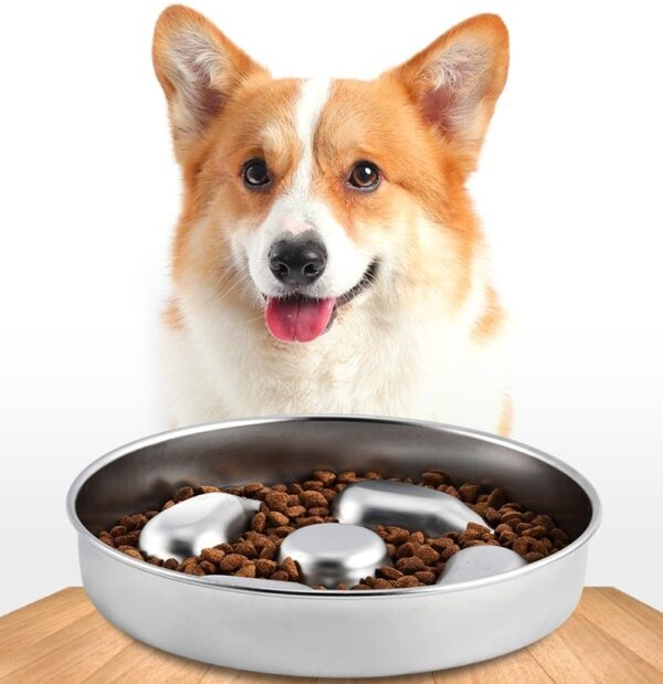 Dog Cat Slow Feeder Bowl - JHHS019