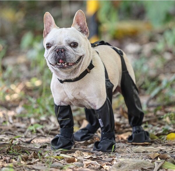 Waterproof Dog Paw Boot Leggings Shoes  - JHSB002 - Image 5