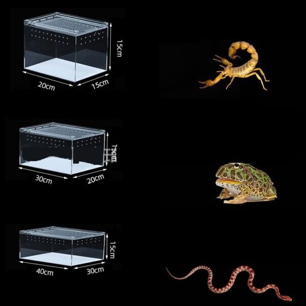 Acrylic Reptile Breeding Sliding Box - JHPC006 - Image 4