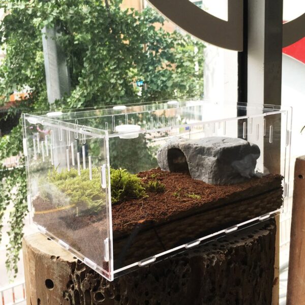 Acrylic Reptile Breeding Sliding Box - JHPC007