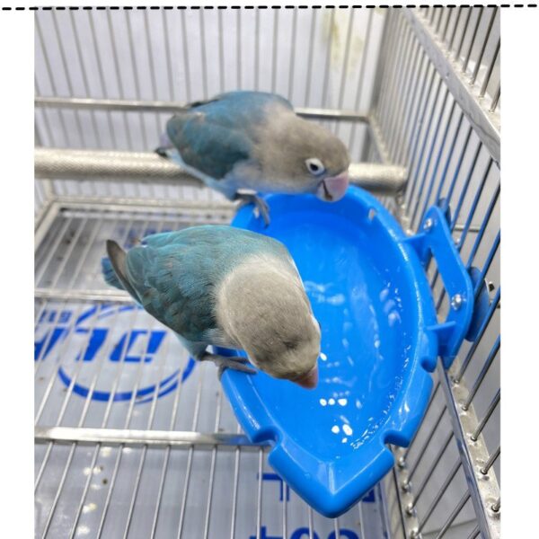 Plastic Bird Food Dish Feeders Cups Water Bowl - JHN014 - Image 6