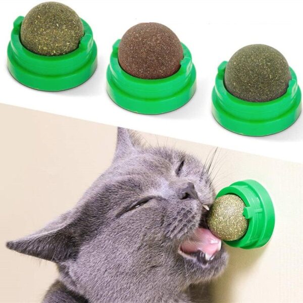 Catnip Ball Cat Toy - JHMWJ021