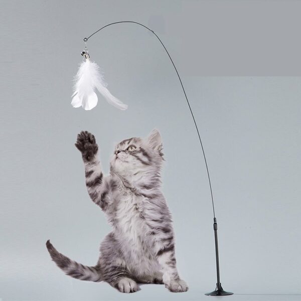 Teaser Feather Suction Cup Cat Toy - JHMWJ029 - Image 2