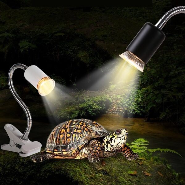 Dual Turtle Reptile Heat Lamp Basking Bulb - JHPC001
