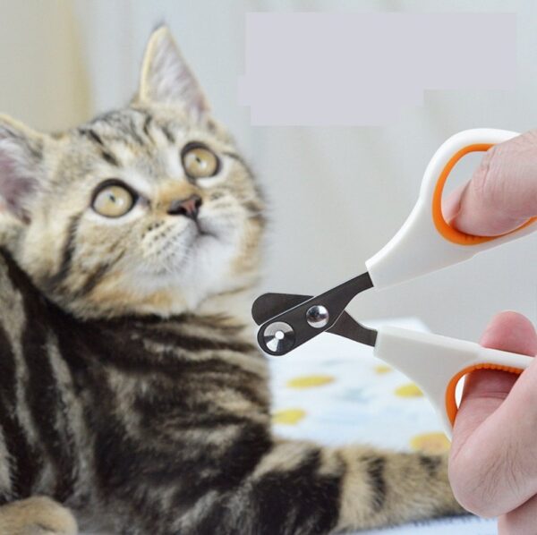 Cat Small Nail Clippers & Claw Trimmer - JHMR002 - Image 2
