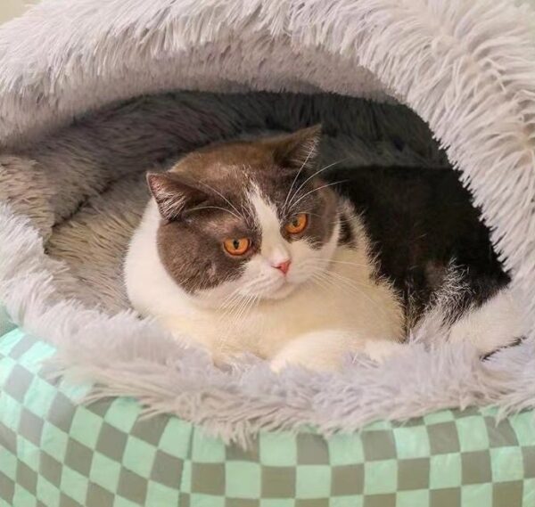 Check Design Pet Bed Cave with Cover - JHMW043 - Image 6