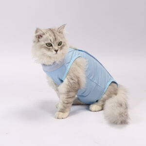 Cat Apparel & Accessories