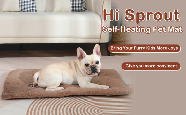 Dog Bed Pad - JHGW054